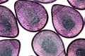 Czech Glass Luster Transparent Amethyst Teardrop 12x16mm
