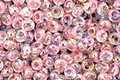 TOHO Transparent Rainbow Ballerina Pink Magatama 3mm Seed Bead
