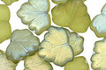 Czech Glass Transparent Verde Luster Maple Leaf 10x13mm