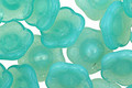 Czech Glass Jade Flower Button 12x7mm