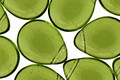 Czech Glass Olivine Teardrop 12x16mm