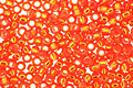 TOHO Light Siam Ruby (with Silver Lining) Round 15/0 Seed Bead