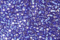 TOHO Cobalt (with Silver Lining) Round 15/0 Seed Bead