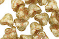 Czech Glass Luster Picasso Pistachio Green Bellflower 6x7mm