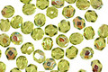 Czech Fire Polished Glass Olivine AB Round 4mm