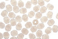 Czech Fire Polished Glass Milky Amethyst Round 4mm