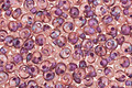 TOHO Rainbow Rosaline (with Opaque Purple Lining) Magatama 3mm Seed Bead