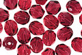 Czech Fire Polished Glass Fuschia Round 6mm