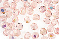Czech Fire Polished Glass Rosaline AB Round 4mm