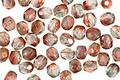 Czech Fire Polished Glass Luster Pink/Crystal Round 3mm