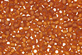TOHO Transparent Frosted Smoky Topaz Round 15/0 Seed Bead