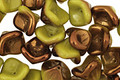 Czech Glass Luster Verde 3 Petal Bellflower 9x11mm