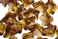 Czech Glass Transparent Olive Rose Gold Luster 5 Point Bellflower 6x9mm