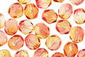 Czech Fire Polished Glass Dual Coated Fuschia/Lemon Round 6mm