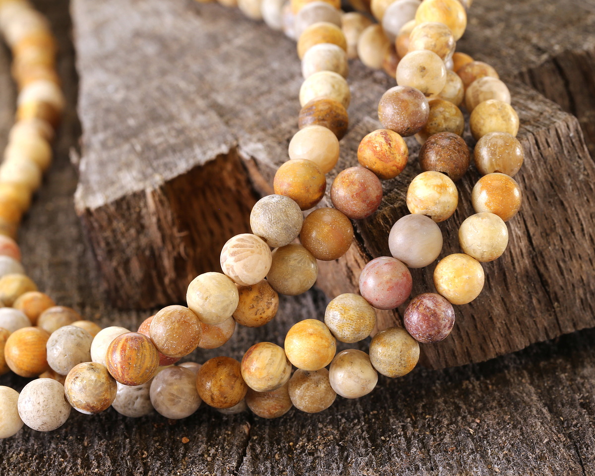 Indonesian Fossil Coral (Matte) Round 6mm