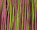 Dragonfruit Splash Round Leather Cord 1.5mm