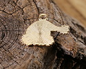 Enamel Santa Hat Focal 19x21.5mm