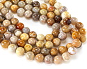 Indonesian Fossil Coral Round 12mm