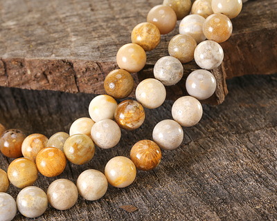 Indonesian Fossil Coral Round 10mm