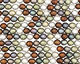Multi Color Rice 9-10x8-9mm