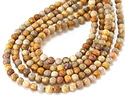 Indonesian Fossil Coral (Matte) Round 6mm