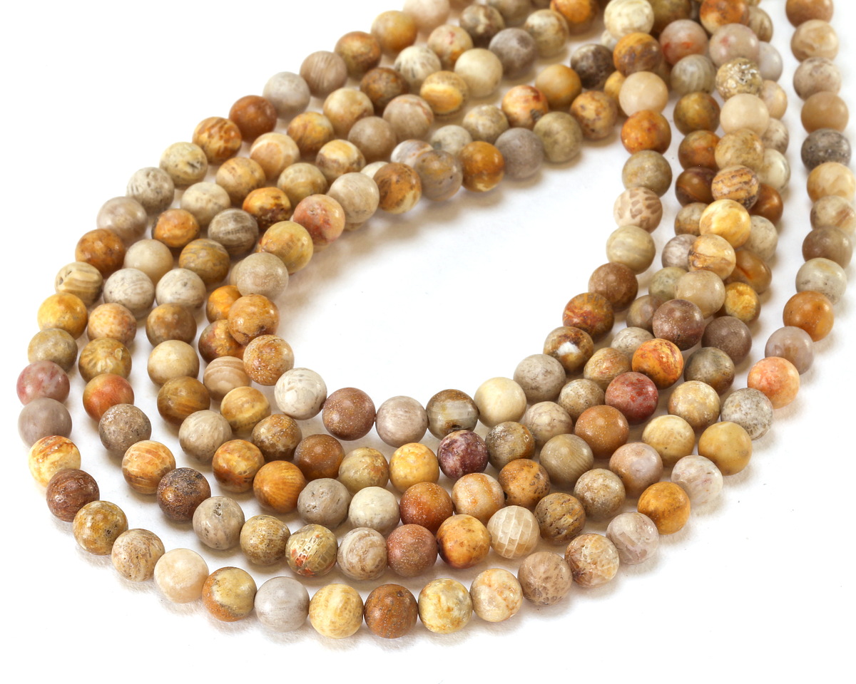 Indonesian Fossil Coral (Matte) Round 6mm