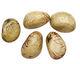 Tagua Nut Apple Nugget 40-45x32-36mm