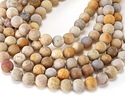 Indonesian Fossil Coral (Matte) Round 10mm