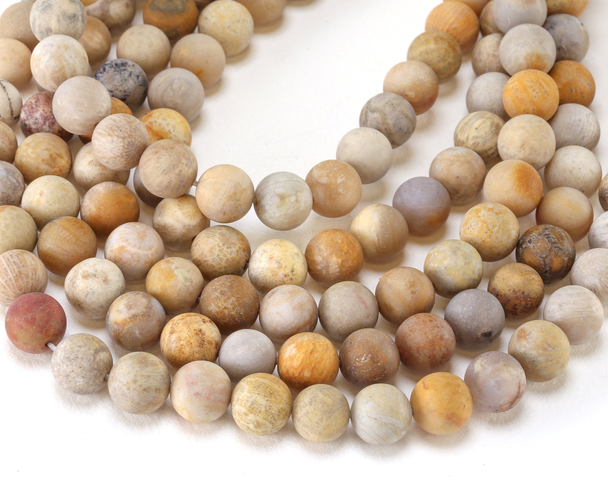 Indonesian Fossil Coral (Matte) Round 10mm