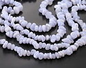 Blue Lace Agate (A) Chip 2-5x5-12mm