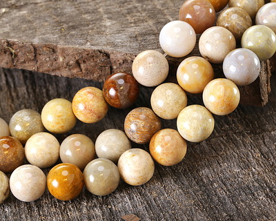 Indonesian Fossil Coral Round 12mm