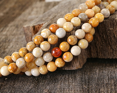 Indonesian Fossil Coral Round 6mm