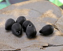 Jet Black Beach-Style Glass Teardrop Focal 14x10mm