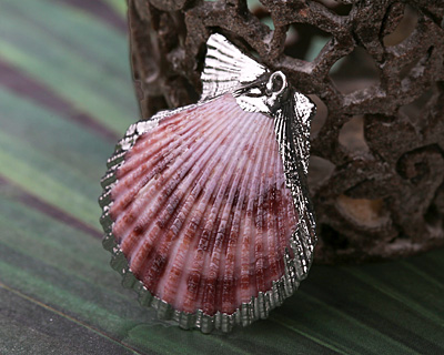 Colorful Pectin Scallop Medium Pendant w/ Silver Finish 37-48x41-50mm