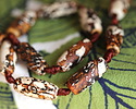 Tibetan (Dzi) Agate Matte Rust & White Molten Pattern Rice 23-26x10-13mm