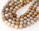 Indonesian Fossil Coral (Matte) Round 12mm