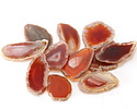 Canyon Agate Freeform Slice w/ Natural Edge Focal 31-51x55-100mm