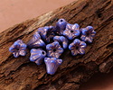 Czech Glass Bronzed Indigo 5 Point Bellflower 5x6mm