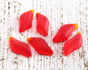 Cherry Red Beach-Style Glass Wave Drop Pendant Pair 12x25mm