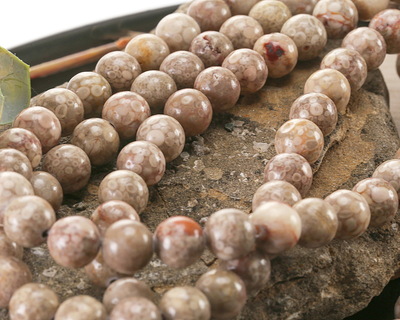 Orbicular Jasper Round 8mm