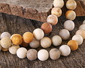 Indonesian Fossil Coral (Matte) Round 12mm