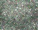TOHO Gold Lustered Emerald Round 11/0 Seed Bead