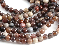 Arizona Petrified Wood Agate Round 6mm