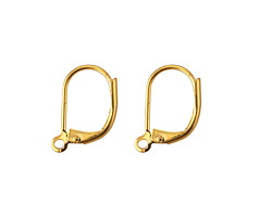 Gold (plated) Stainless Steel Leverback Earring w/ Open Loop 11x15mm