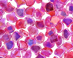 Matubo Czech Glass ColorTrends: Summer Rainbow - Pink 2-Hole Ginkgo Leaf 7.5mm