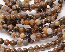 Petrified Wood Round 6mm