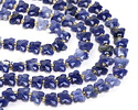 Sodalite Microfaceted Butterfly 8x10mm