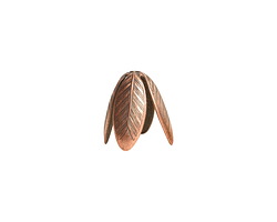 Nunn Design Antique Copper (plated) 14mm Grande Leaf Bead Cap 14x20mm