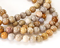 Indonesian Fossil Coral Round 10mm