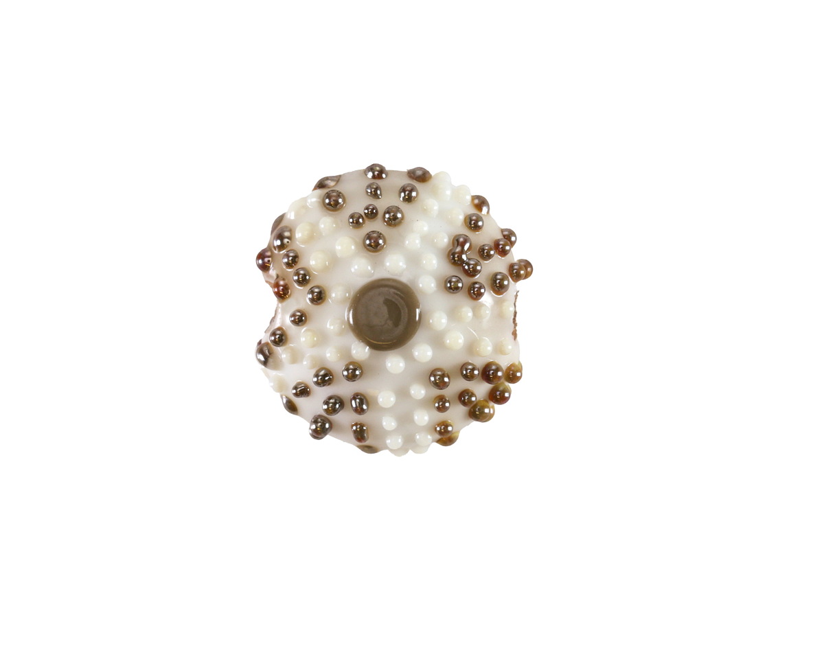 Grace Lampwork Ivory Sea Urchin Lentil 15mm